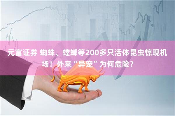 元富证券 蜘蛛、螳螂等200多只活体昆虫惊现机场！外来“异宠”为何危险？