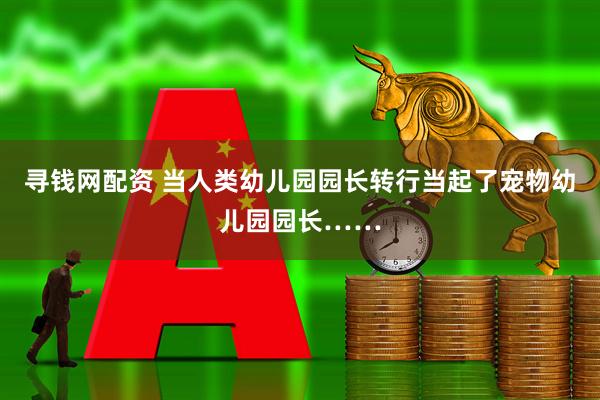 寻钱网配资 当人类幼儿园园长转行当起了宠物幼儿园园长……