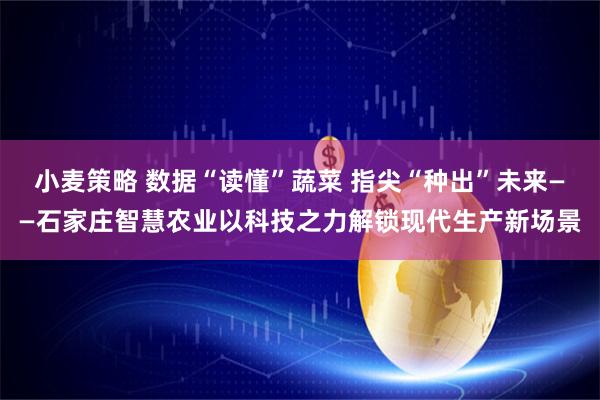 小麦策略 数据“读懂”蔬菜 指尖“种出”未来——石家庄智慧农业以科技之力解锁现代生产新场景